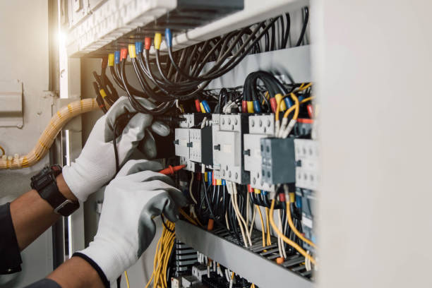 Best Electric Panel Repair  in Merryville, LA